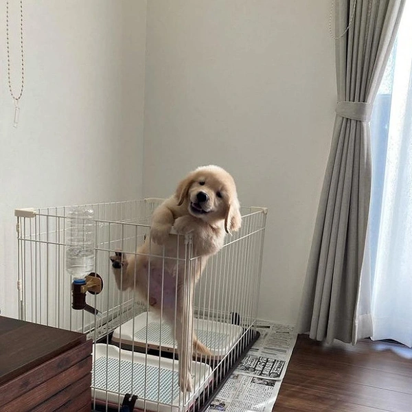 Источник: соцсети