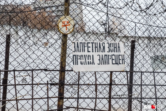 В колонии матери Марии сказали, что ее дочь симулирует болезнь | Источник: Тимофей Калмаков