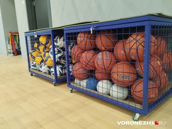 Источник: Дмитрий Волгин / Voronezh1.ru