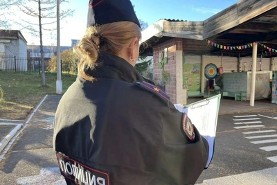 В Братске воспитательница уронила ребенка на прогулке