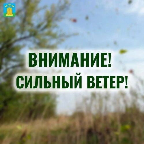 В Тамбовской области 28 апреля ожидается сильный ветер | Источник: www.city.tambov.gov.ru