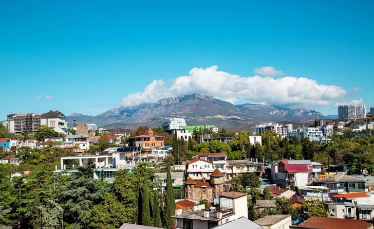 В Крыму полностью остановили продажу топлива на АЗС: бензин будут выдавать только госслужбам | Источник: Victor1153/Shutterstock/Fotodom.ru