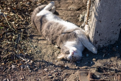 Погода в Приморье 18 марта: прохладно и сухо