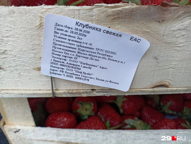 Источник: Иван Митюшёв / 29.RU