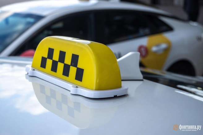 Нововведения начнут работать уже в следующем году  | Источник: Михаил Огнев / Fontanka.ru 