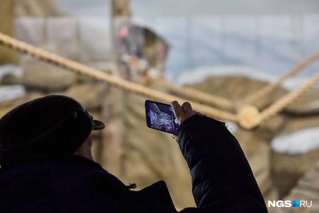 Посетители много фотографируют животных  | Источник: Александр Ощепков / NGS.RU