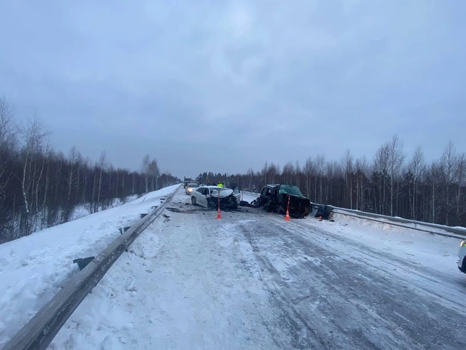 Источник: Госавтоинспекция Тюменской области