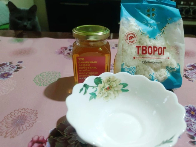 Кот не понял, куда делись мандарины. А они все ушли в иммунитет | Источник: Патриция Лебедева