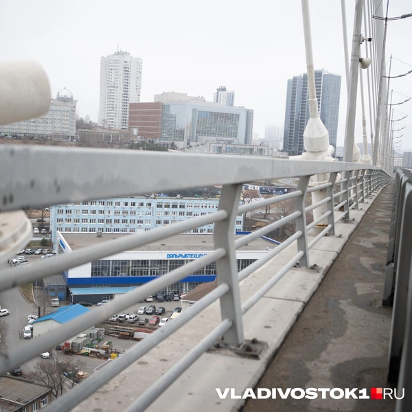 Источник: Елена Буйвол / VLADIVOSTOK1.RU