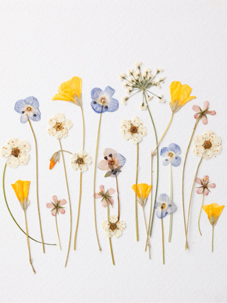 Декор из сухих цветов: 25 идей