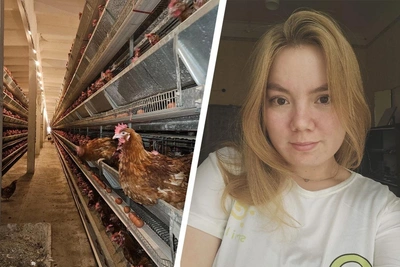 Northern Woman Chooses Poultry Farm Over Office Career