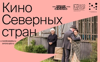 В Санкт-Петербурге покажут кино Северных стран