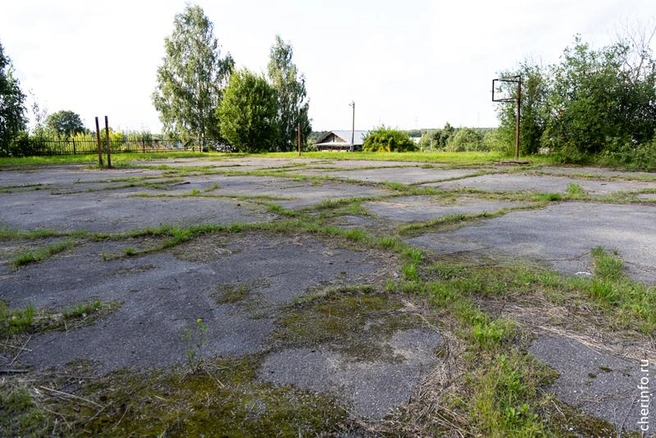 Источник: st.cherinfo.ru