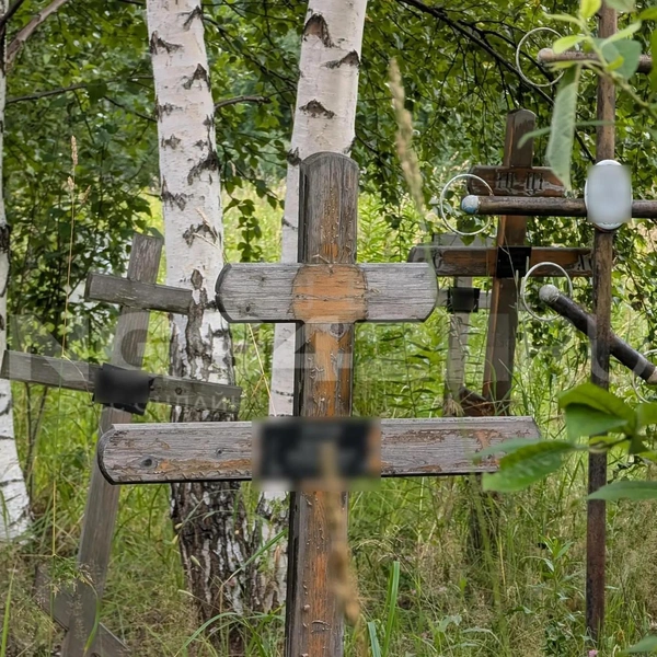 Источник: NGS42.RU