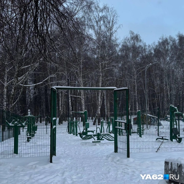 Пустовала даже всегда занятая площадка | Источник: Виктория Улитова / YA62.RU