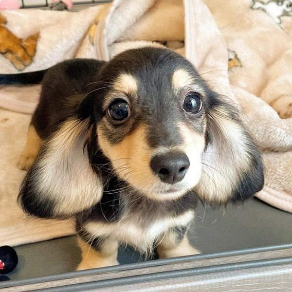 Источник: соцсети