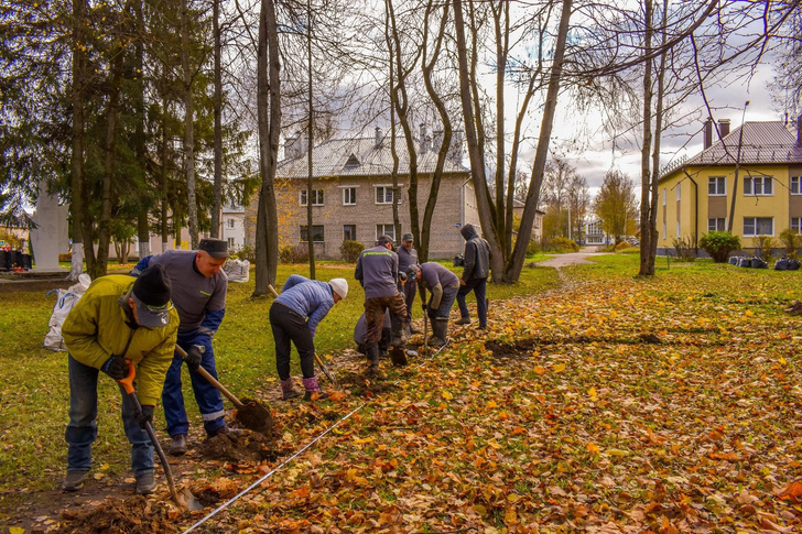 В городе Дно высадили 2000 растений для обустройства парка