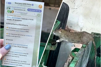 Крысогон на Пушкинской-10: как распечатки Фонтанки помогли