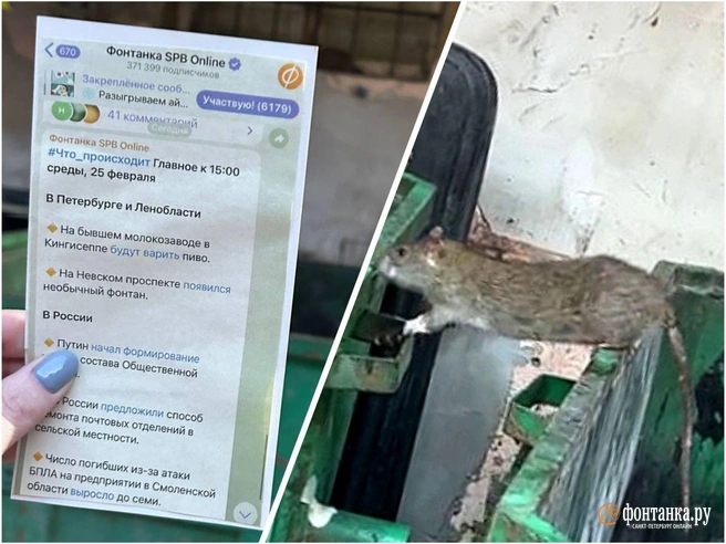 Почему рядом с «Пушкинской-10» устроили «Крысогон» и как в этом помогли распечатки постов «Фонтанки» | Источник: Женя Исаева / коллаж «Фонтанки»