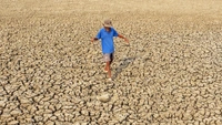Климатическая бомба замедленного действия: что такое Эль-Ниньо и почему его надо бояться в 2026 году