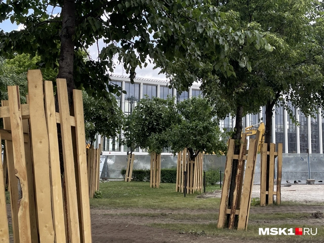 Источник: Екатерина Фадеева / MSK1.RU