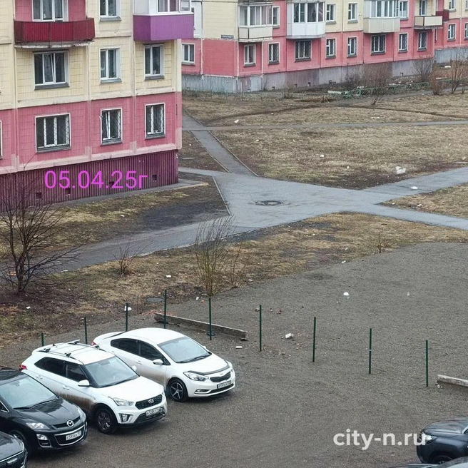 Источник: city-n.ru
