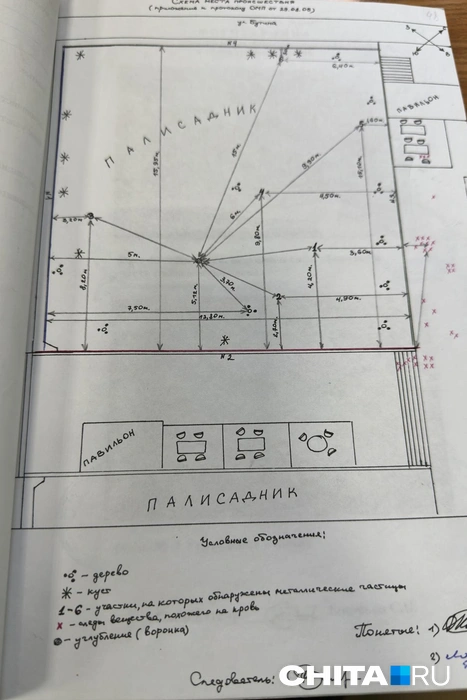Источник: Виктория Михайлюк