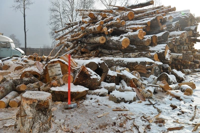 Выделены лесосека и валежник для жителей Верхней Куэнги