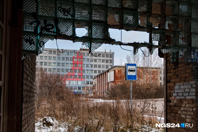 Этим все сказано | Источник: Мария Ленц / NGS24.RU