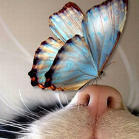 Аватарка PanovaElena