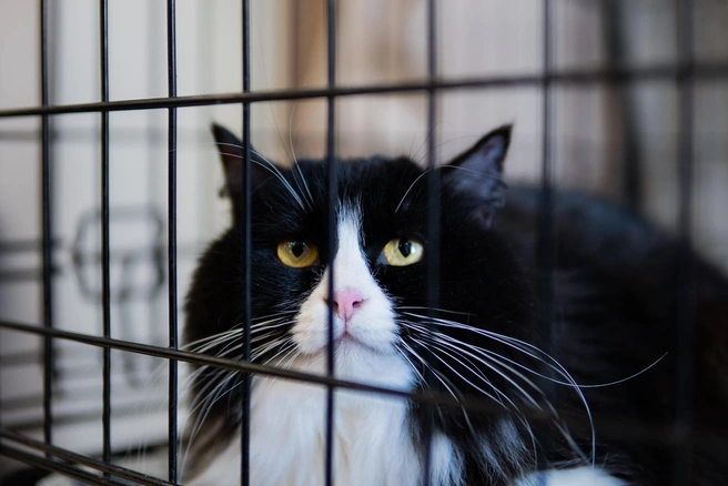 Источник: doroga_domoi / Vk.com