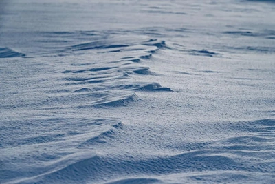 В Ямальском районе действует штормовое предупреждение