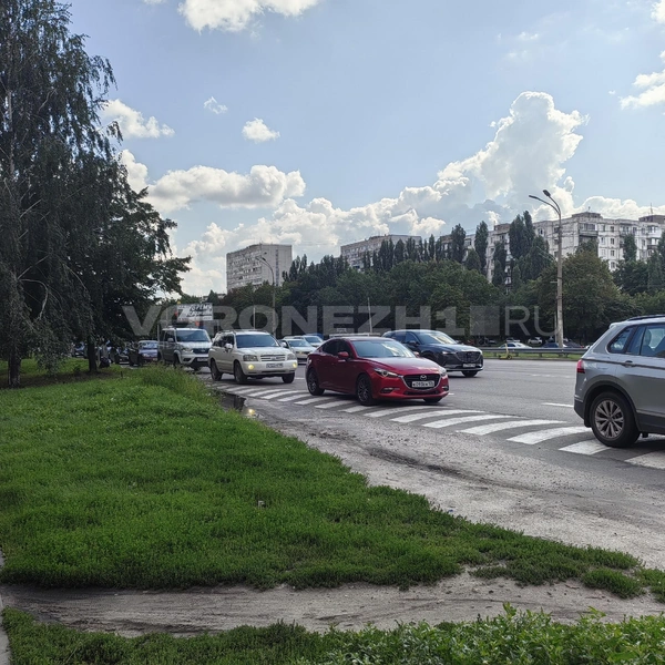 Очередь тянется от заправки в сторону памятника Славы, но стала короче почти в 3 раза | Источник: Андрей Пашинский / Voronezh1.ru