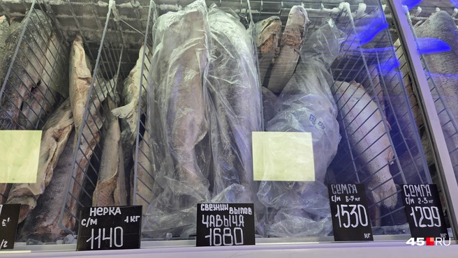 Источник: Алёна Кисель / 45.RU