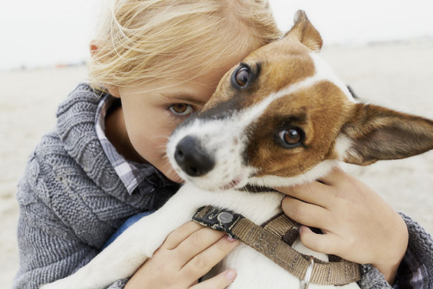5 опасных заблуждений о дружбе ребенка и собаки - Parents.ru