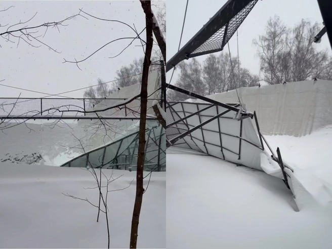 Источник: «Сокольники Соседи» / T.me