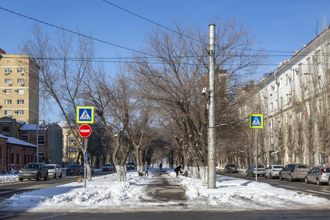 Еще недавно здесь росли взрослые большие деревья | Источник: Константин Завриков / V1.RU