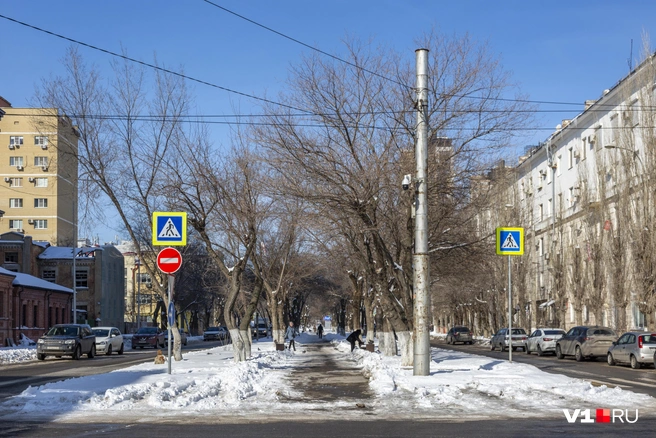Тенистый бульвар на Профсоюзной скоро стремительно прекратит свое существование, став благоустроенным сквером | Источник: Константин Завриков / V1.RU