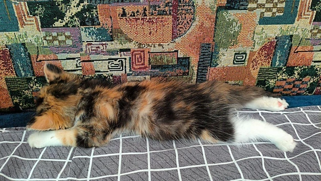 А вы давайте там, шлеп-шлеп на работу | Источник: читатель 63.RU