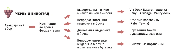 Как производят вина и какими они бывают: краткий гид с картинками