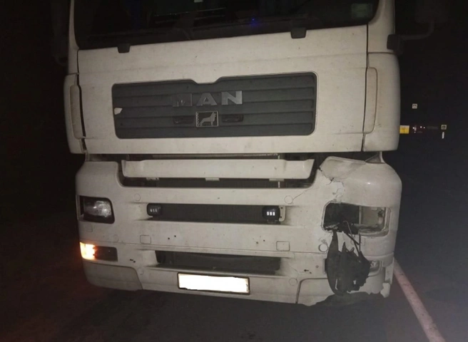 На трассе М5 в Шиловском районе грузовик насмерть сбил мужчину | ya62.ru
