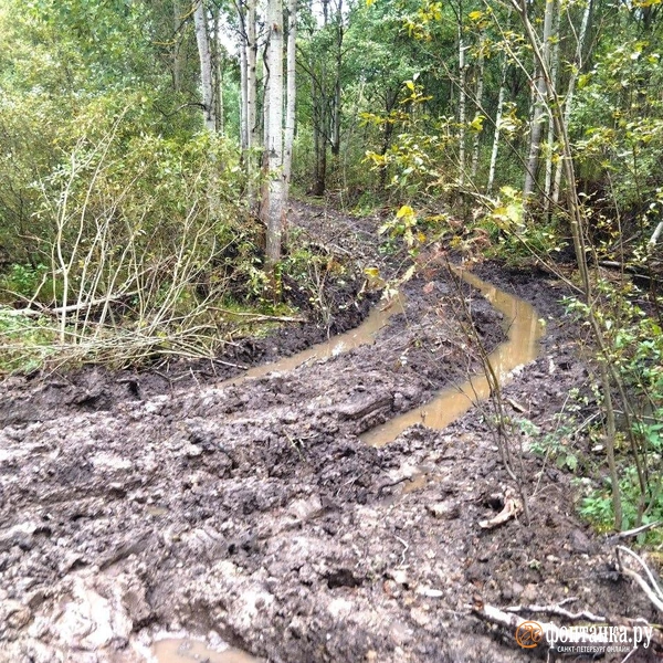 Источник: Ольга Ясененко