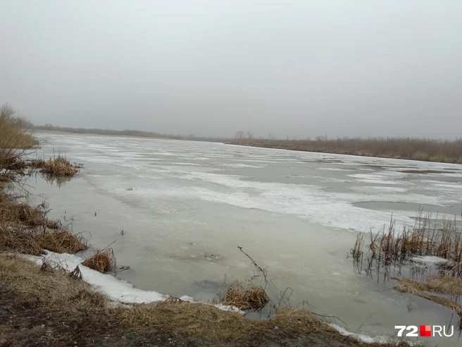 Погода в Ишиме на 10 дней