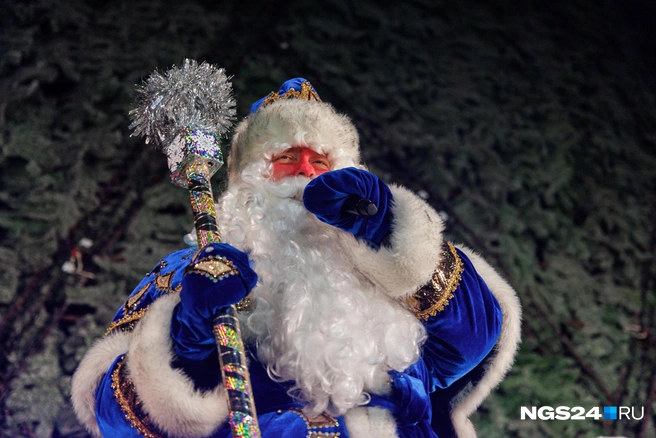 Дед Мороз встретится в январе с маленькими зрителями | Источник: Мария Ленц / NGS24.RU