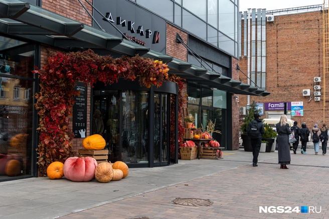 Возле «Артели» получится осеннее фото | Источник: Мария Ленц / NGS24.RU