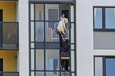 Альпинисты спасли пса с балкона на Парашютной улице