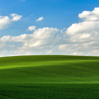 Аватарка Александра Иланова