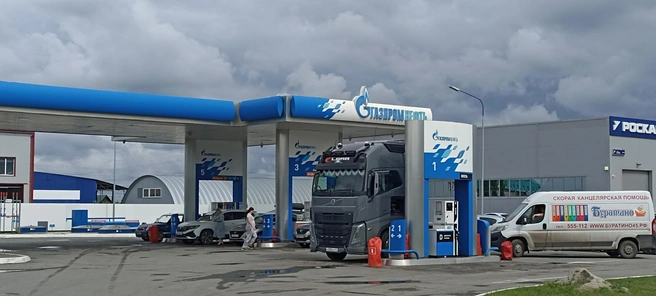 Ограничения не радуют, но главное, что в принципе удалось заправиться, говорят водители | Источник: Анна Сарапульцева / 45.RU