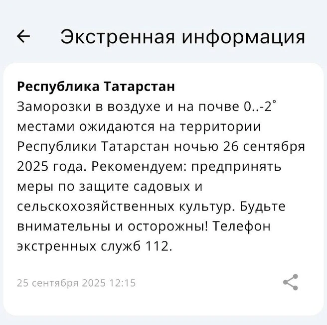 Источник: МЧС