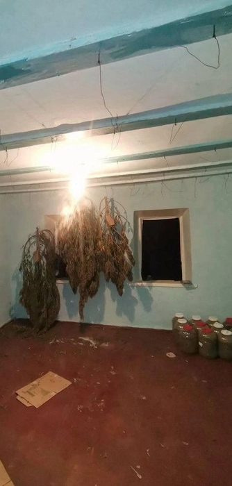 Полицейские изъяли наркотики у жителя Ставрополья | Источник: ГУ МВД России по Ставропольскому краю
